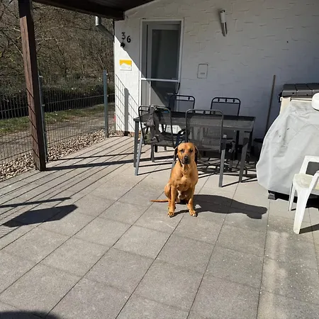 Tatil Evi Stausee Bitburg