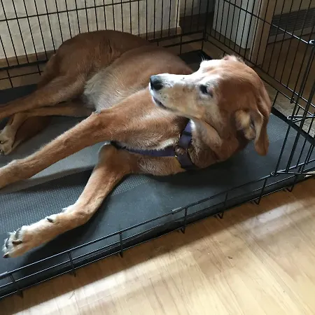 Stausee Bitburg Tatil Evi