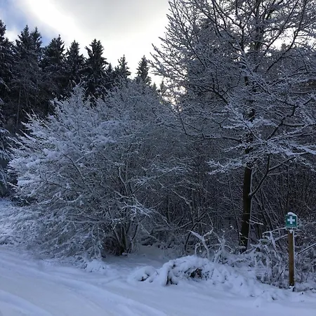 Дом отдыха Stausee Bitburg Бирсдорф