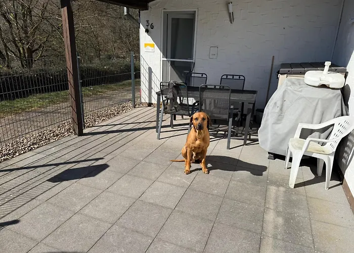 Vakantiehuis Stausee Bitburg